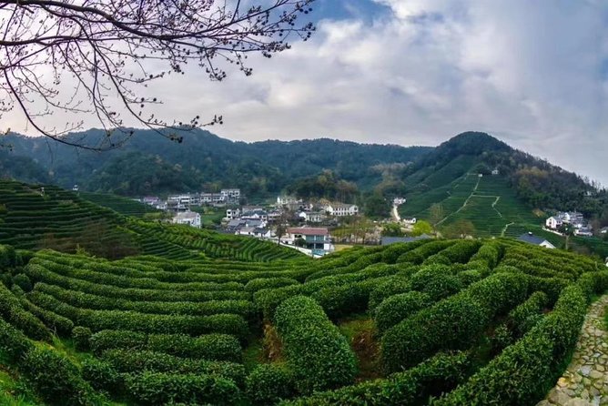 Private Day Trip to Hangzhou From Shanghai by Bullet Train - Good To Know