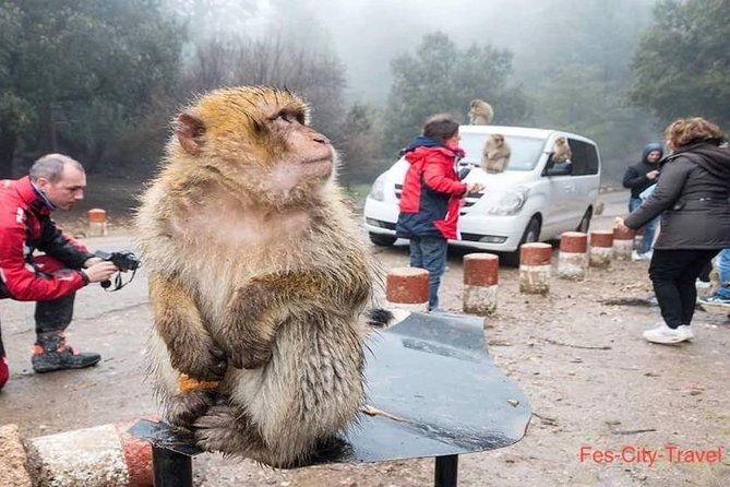 Private Day Trip to Middle Atlas From Fes - Good To Know