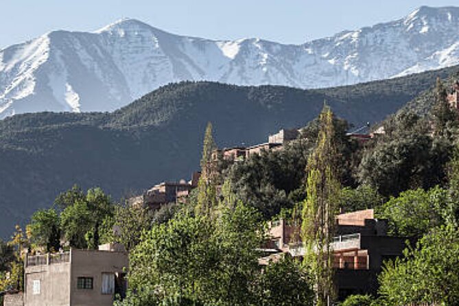 Private Day Trip to Ourika Valley From Marrakech - Tour Highlights