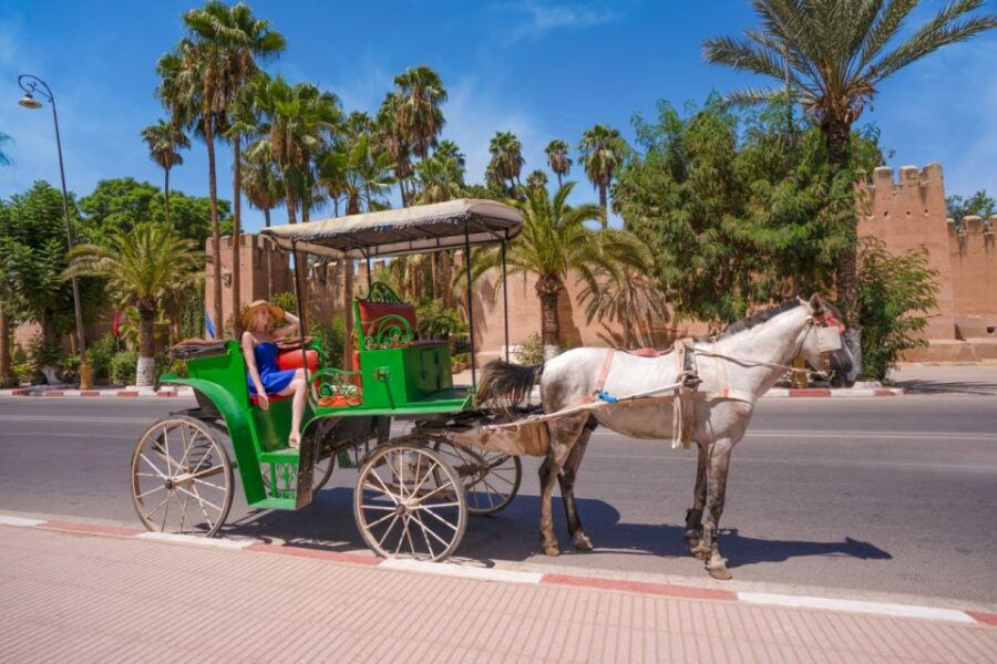 Private Day Trip to Taroudant & Tiout Including Diner