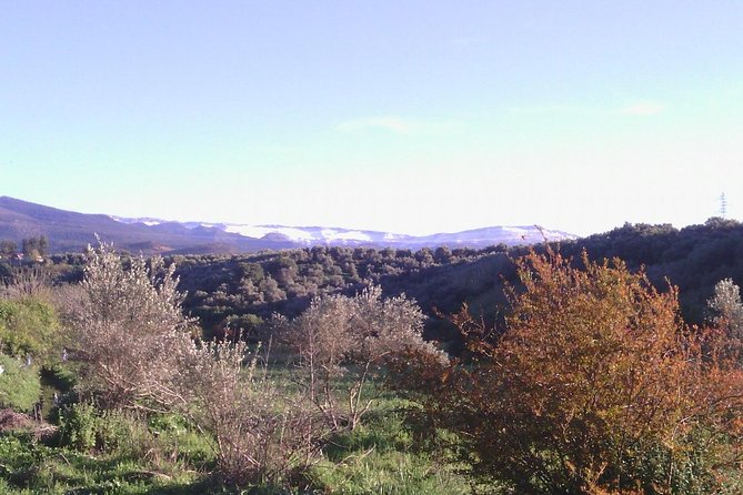 Private Day Trip to the Atlas Mountains From Fez - Good To Know