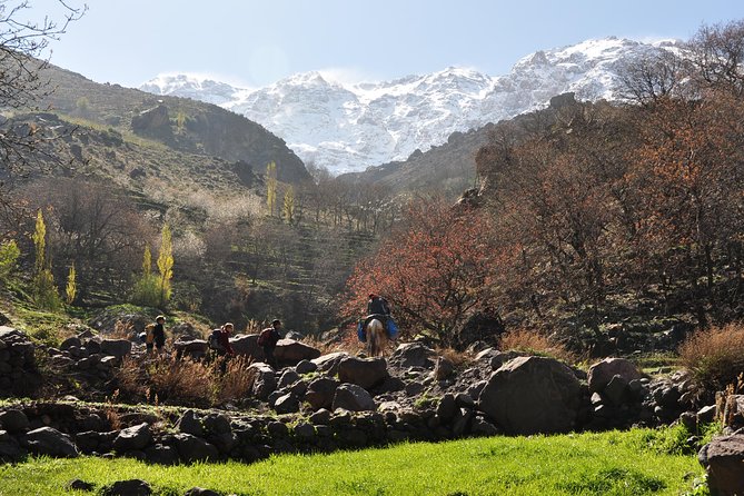 Private Day Trip to the High Atlas From Marrakech, - Good To Know