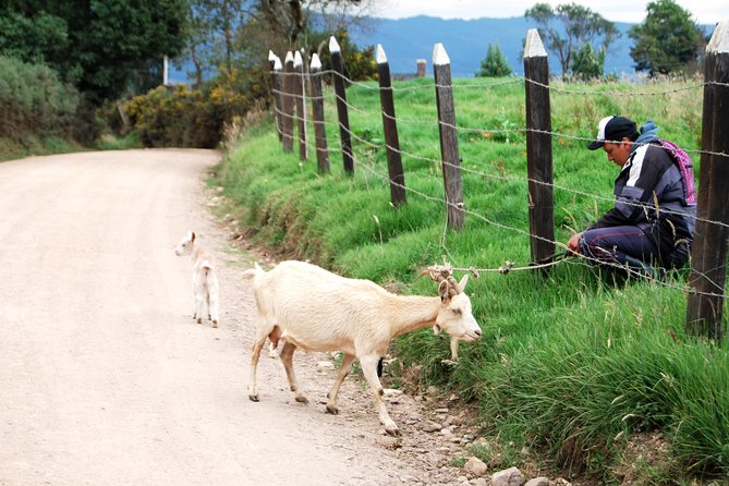 Private Day Trip to Traditional Towns Around Bogotá (9 Hrs.) - Good To Know