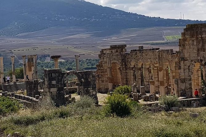 Private Day Trip to Volubilis, Moulay Idriss, and Meknes From Fez (Fes) - Tour Highlights