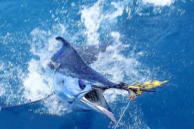 Private Deep Sea Fishing in Montego Bay