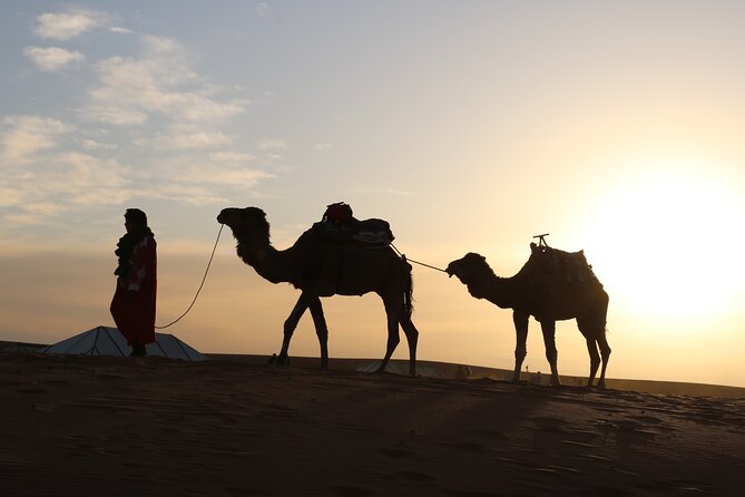 Private Desert Tour To Draa Valley And Zagora From Marrakech - Good To Know