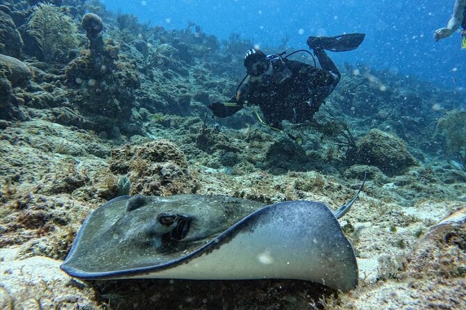 5 Best Scuba Diving Experiences In San Andres
