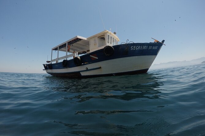 Private Diving Experience in Cagarra Island