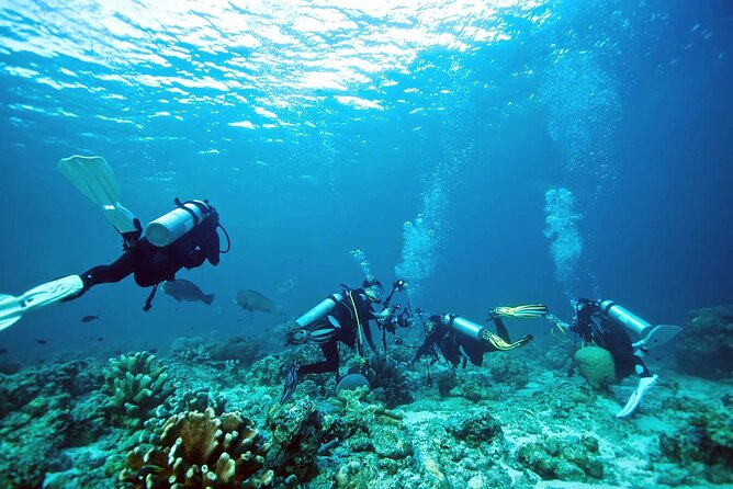 Private Diving Experience in Nusa Dua With Hotel Pick up - Good To Know