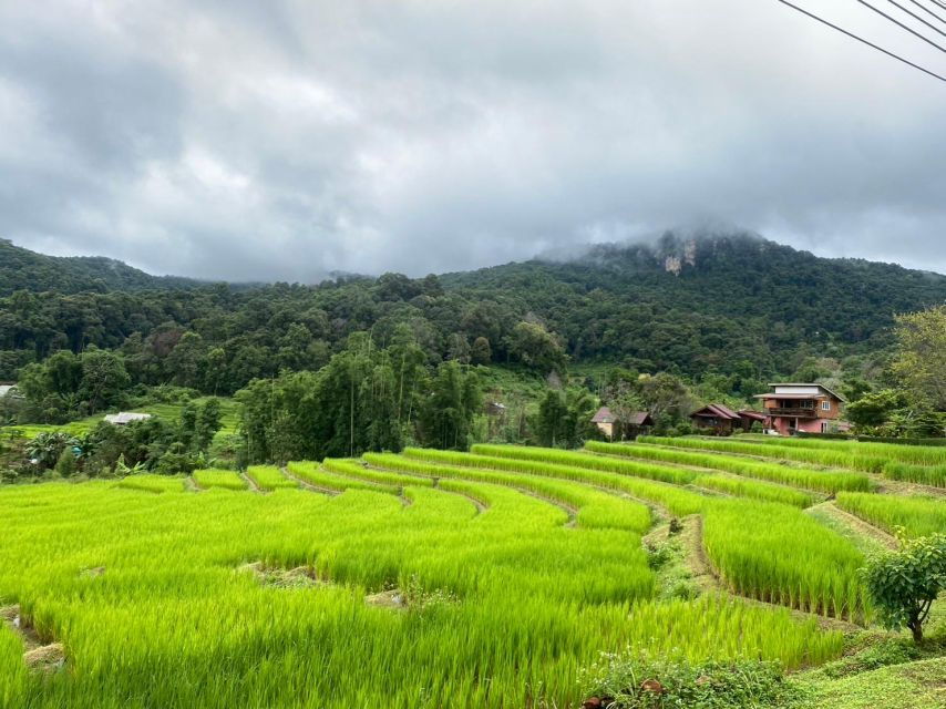 Private Doi Intanon National Park With 2 Hour Trekking - Good To Know