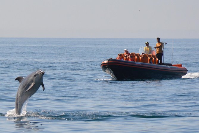 Private Dolphin Watching and Cave Tour From Vilamoura - Good To Know