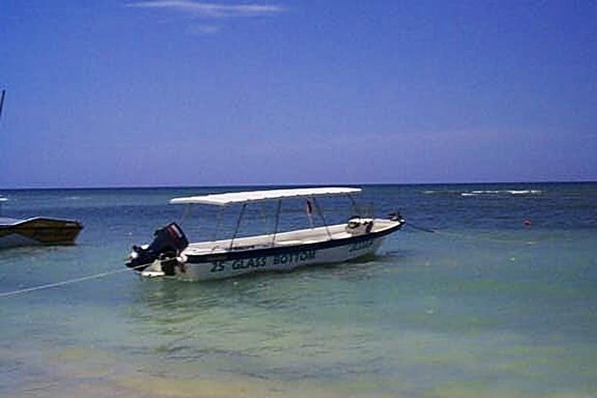 Private Double Reef Snorkel Tour With Optional Parasail Upgrade - Good To Know