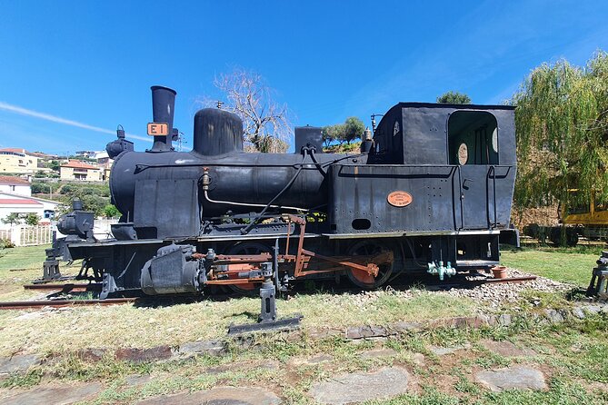 Private Douro Valley Tour With Train and Vinho Verde - Good To Know
