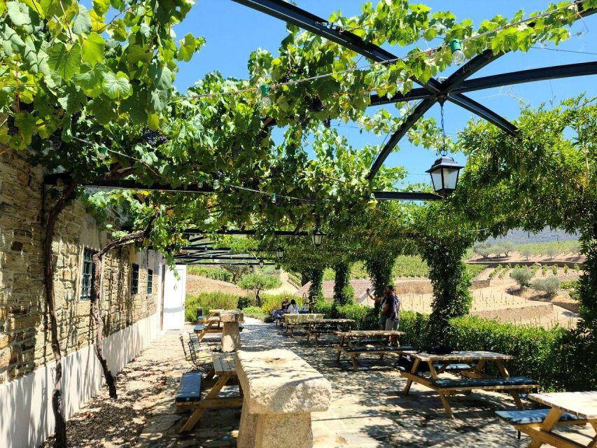 Private Douro Valley Tour:Visits,Tastings,Boat and Lunch 5*