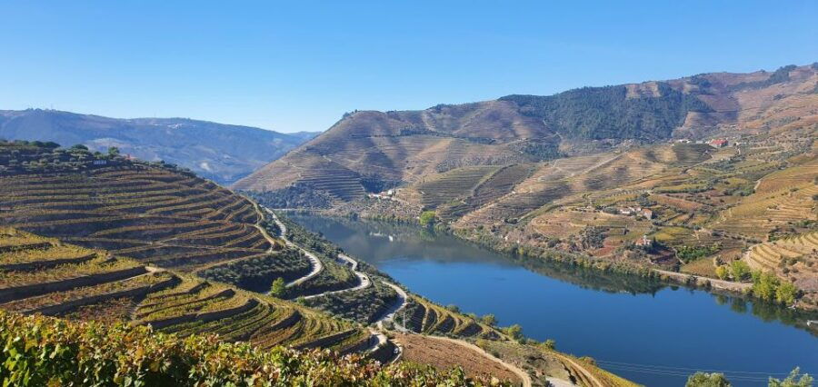 15 Best Wine Tours In Sabrosa
