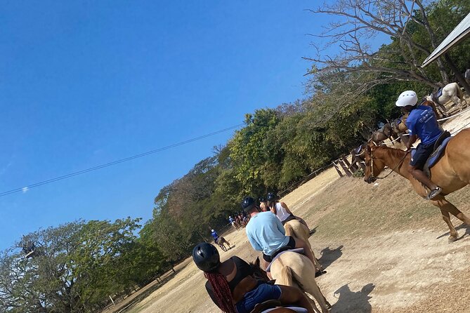 Private Dunns River Falls and Horse Back Riding - Overview of Private Dunns River Falls and Horse Back Riding