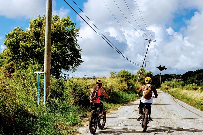 Private E-bikes Experience in St Philip