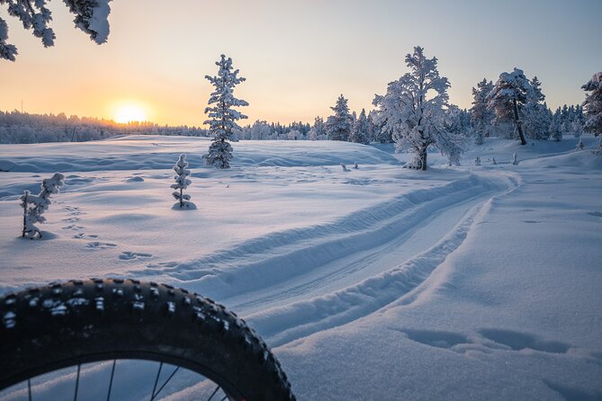 Private Electric Fat Bike Tour in Saariselkä - Good To Know