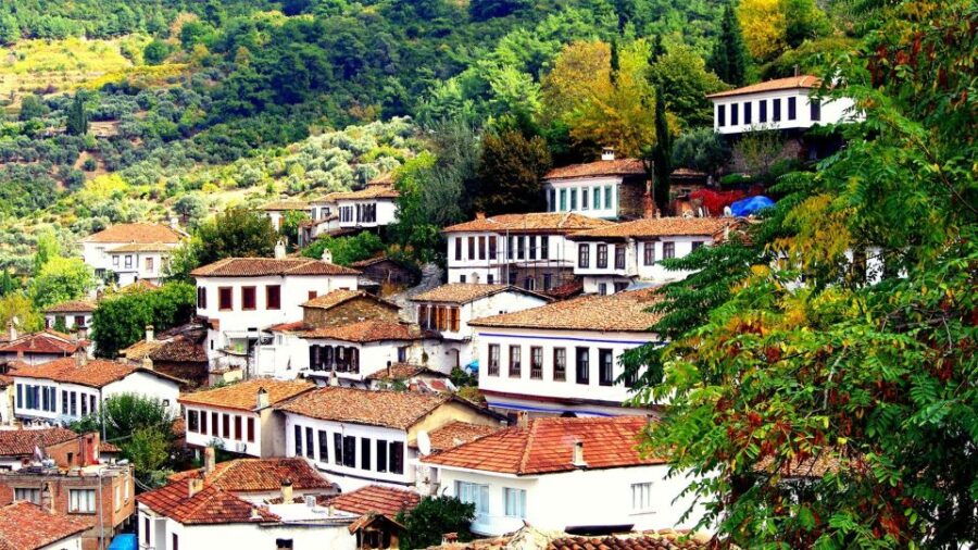 Private Ephesus and Sirince Village Tour From Kusadasi Port