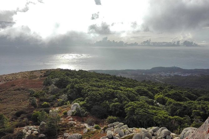 Private Evening Walk Inside the Forest: "Sintra Mountains Inbetween Wolves" - Cancellation Policy