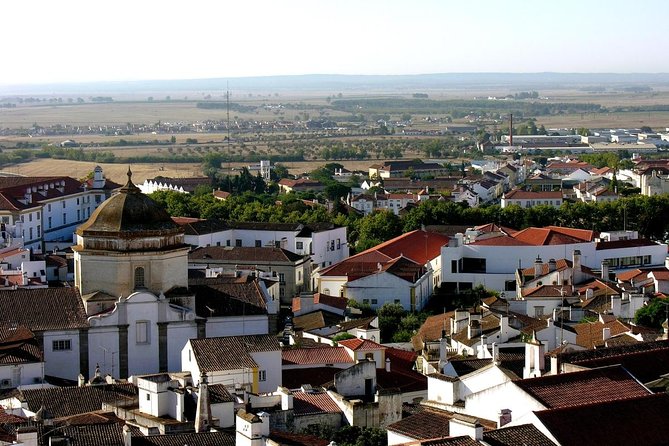 Private Évora Tour - Megaliths, Historical Center and Cork Region