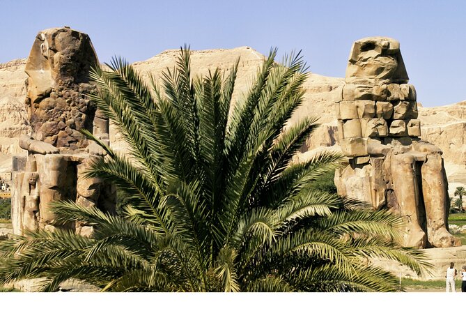 Private Excursion to Luxor From Marsa Alam&Port Ghalib - Inclusions and Services