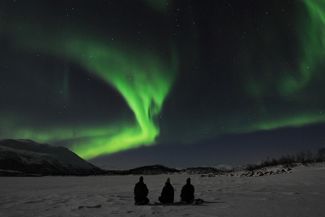 PRIVATE Fabulous Show Tour Search for the Northern Lights by VIP Car Rovaniemi - Good To Know