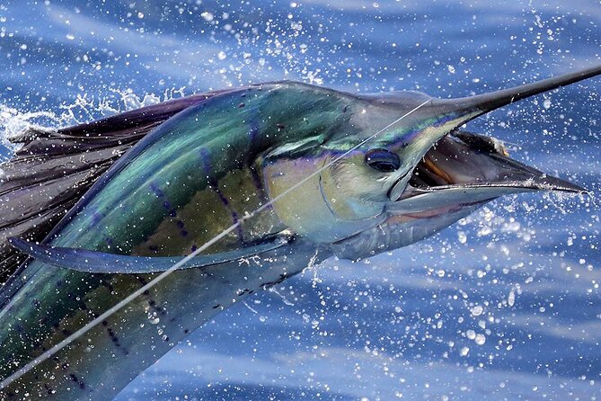 Private Fishing & Boat Cruising Charters in St Kitts and Nevis
