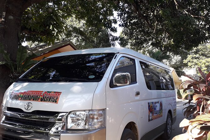 Private for Your Group Puerto Princesa Sightseeing Van