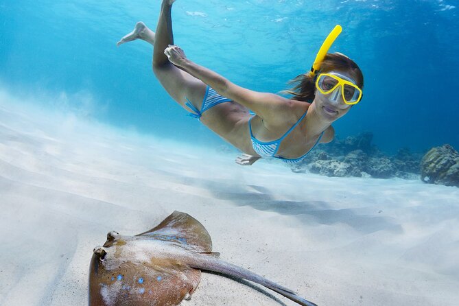 Private Full Day BVI Boat Charter Aboard MV Aquarius