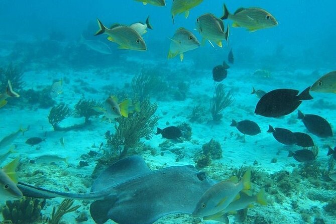 4 Best Full-Day Tours In Grand Cayman