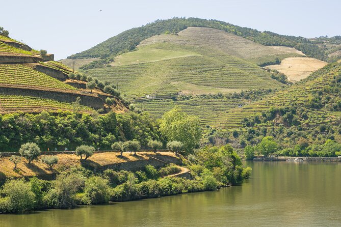 Private Full-Day Douro Valley Wine and Hike Tour From Porto - Good To Know