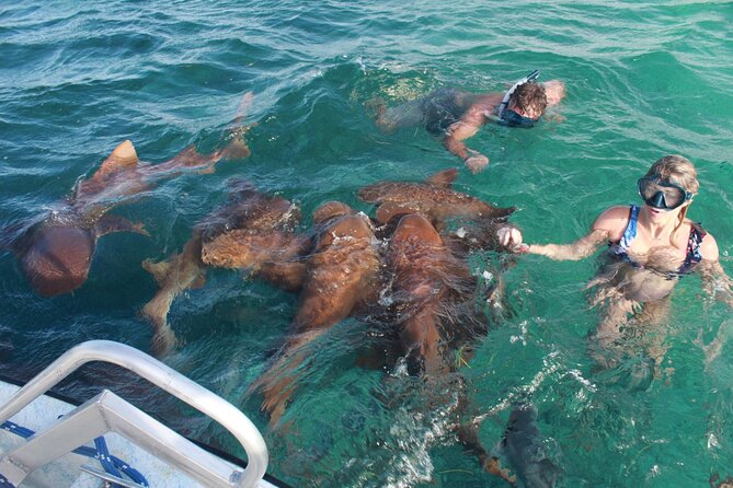 Private Full-Day Reef Fishing Tour With Snorkeling and Beach BBQ - Good To Know
