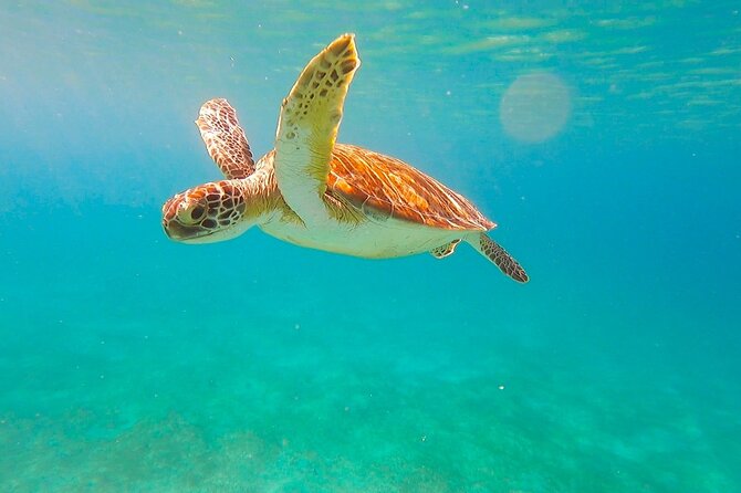 Private Full Day Sail in Virgin Islands National Park