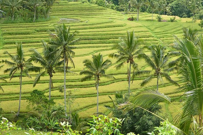 Private Full-Day Tour of West Bali With Hotel Pick up - Good To Know