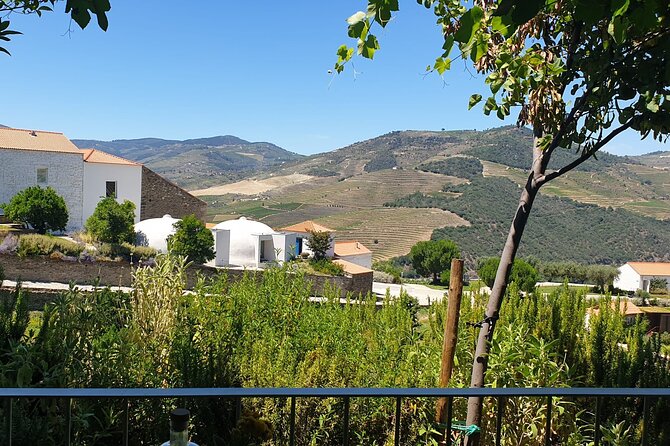 Private Full-Day Tour to Douro Valley - Good To Know