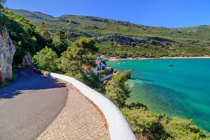 Private Full Day Tour:Breathtaking Arrábida Wine Vineyards-Infants/Children Free - Good To Know