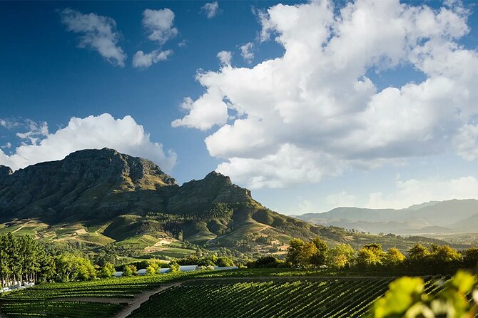 Private Full Day Wine Tour in Cape Town - Good To Know