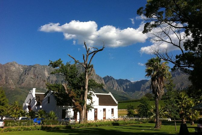 Private Full-Day Winelands Tour From Cape Town - Good To Know