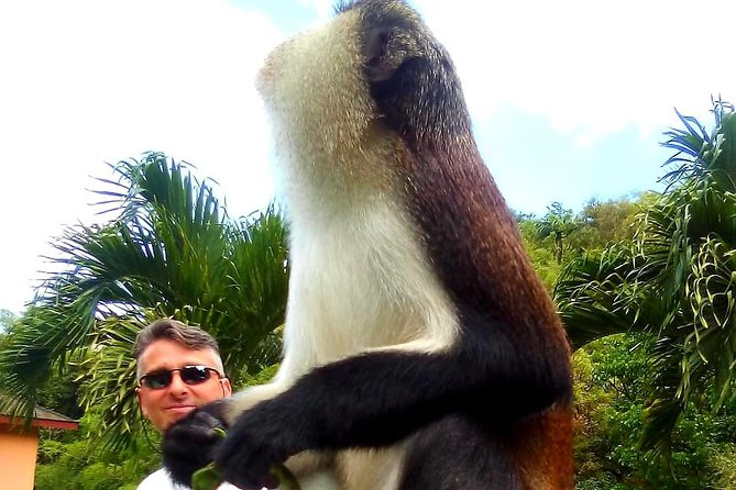 Private Fun Tour in Grenada