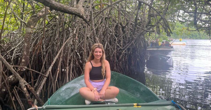 Private Galle and Bentota Day-Tour From Colombo - Good To Know