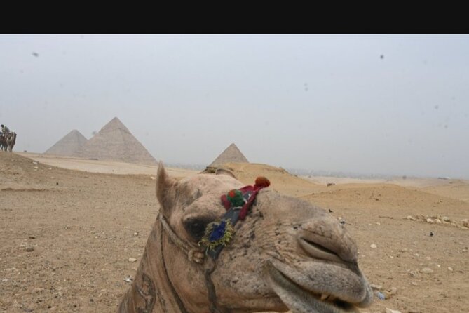 Private Giza Pyramids, Camel Ride ,sphinx, Lunch and ATV - Good To Know