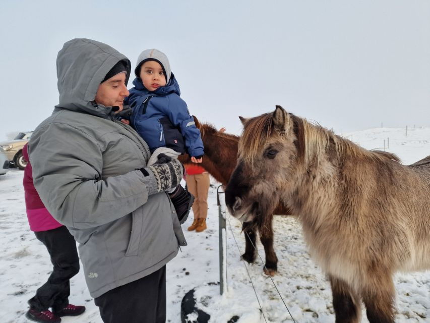 Private Golden Circle Tour (1-7 Persons) - Good To Know