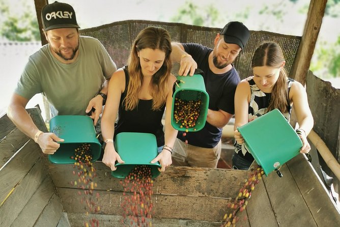 Private Graffiti Tour & Coffee Farm Experience: All in One Great Day - Good To Know