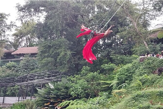 Private Guided Full Day Ubud Tour - Tour Overview