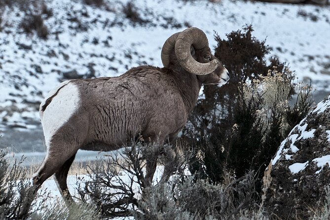 Private Guided Hiking Tour in Colorado