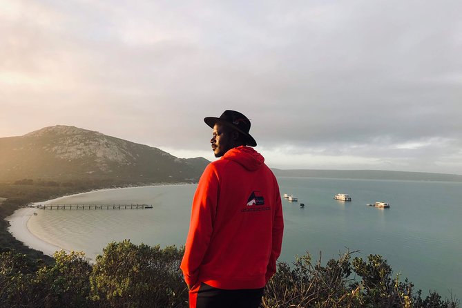 Private Guided Sightseeing Tour of West Coast National Park