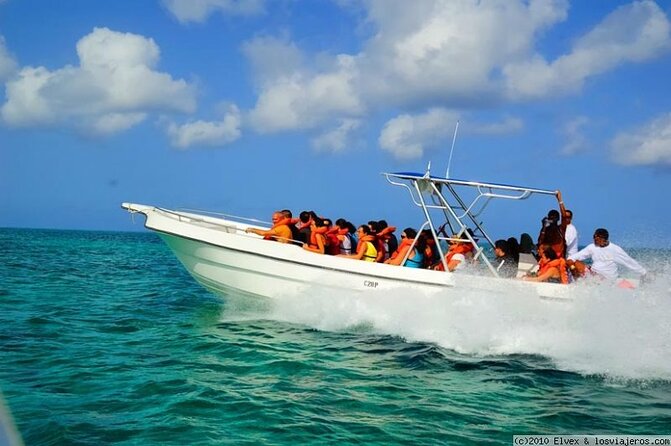 Private Guided Tour From Bávaro to Isla Saona by Speedboat Minimum 12 Pax - Good To Know