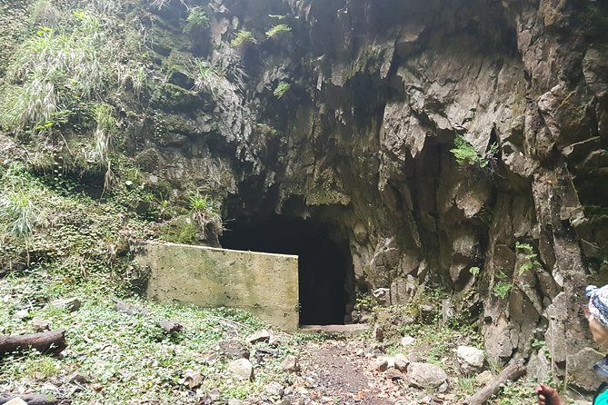 Private Guided Walk Levada Ribeira Da Janela
