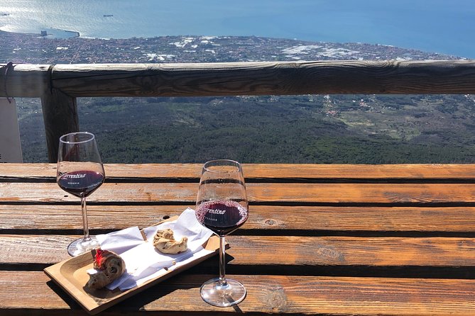 Private Guided Wine Tasting Experience in Vesuvius With Lunch - Good To Know